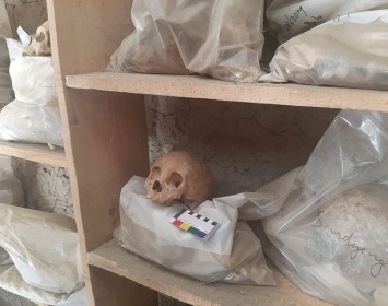 Human and animal bones collected from a sky cave near Samdzong Village