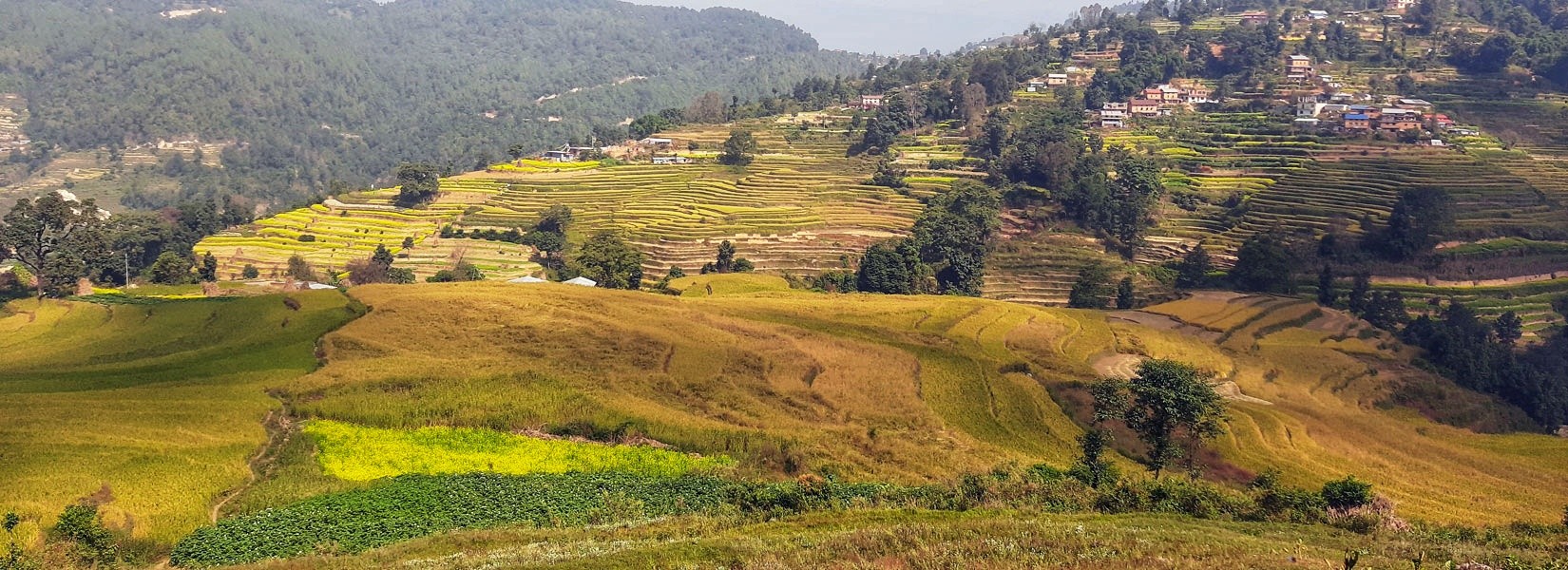 Nagarkot Day Hiking