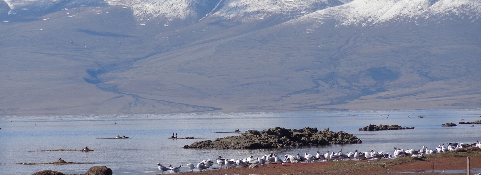 Tibet Tour Information