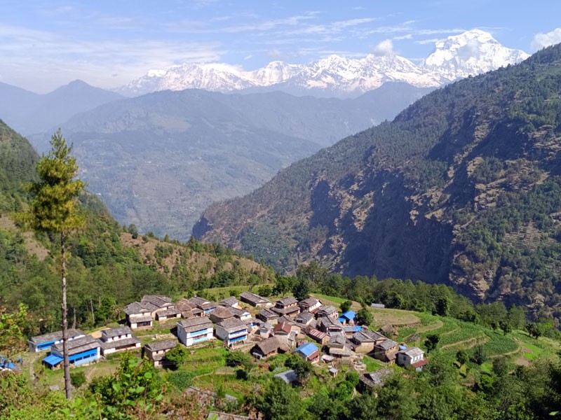 Banbari village with Dhaulagiri range in the background