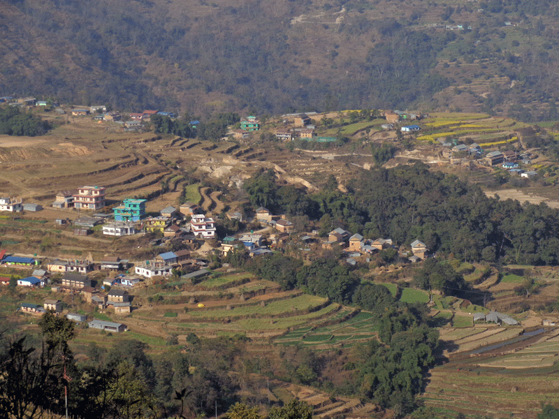 Bajini Village