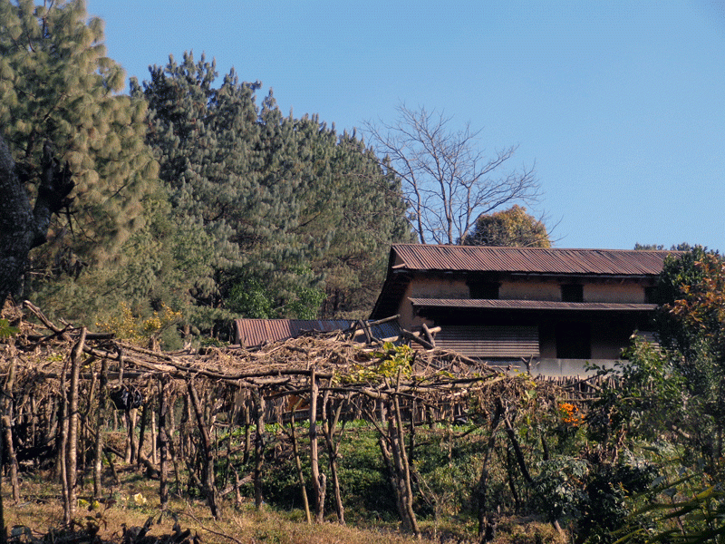 A typical Nepali house