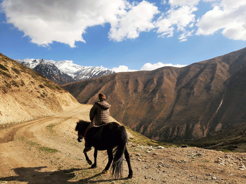 A local riding a horse. Horses and Yaks are the main means of transportation here in this region.
