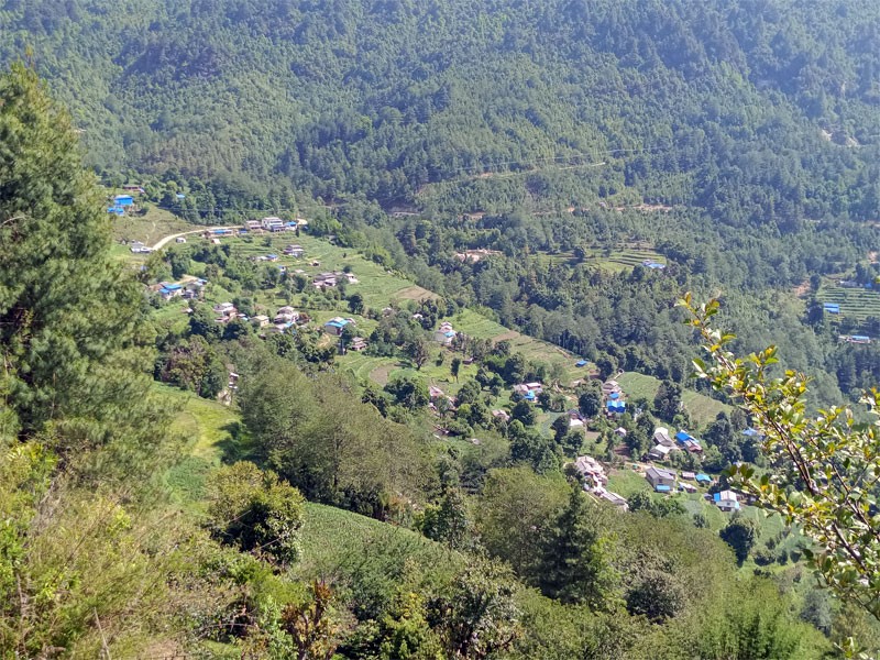 Nangi village