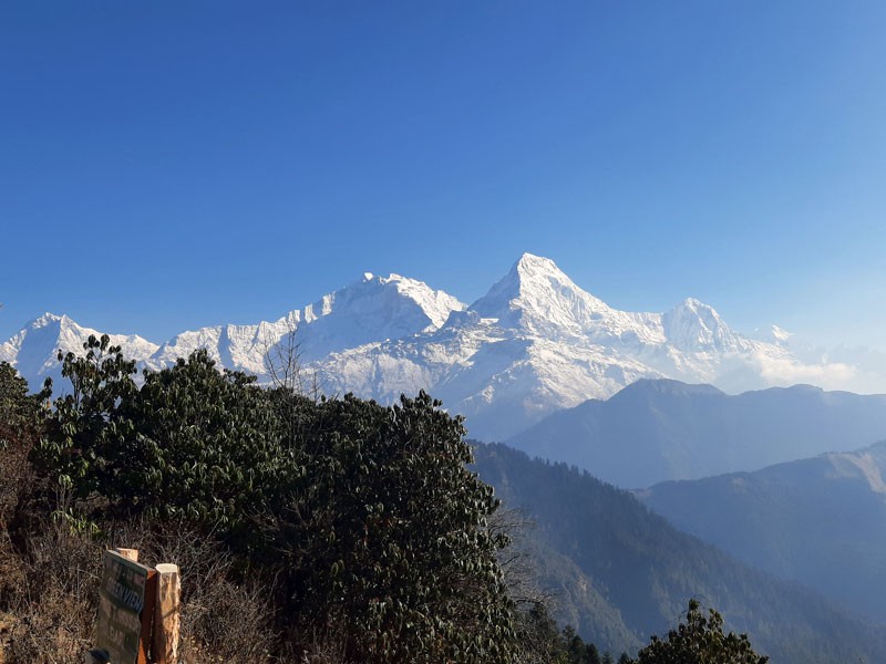 Nilgiri, Annapurna Fang, Annapurna South and Hiunchuli as seen on the way to Poon Hill